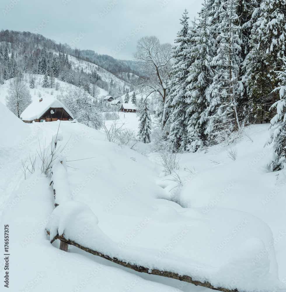 Winter Carpathian Mountains landscape. Winter Carpathian Mountains landscape.