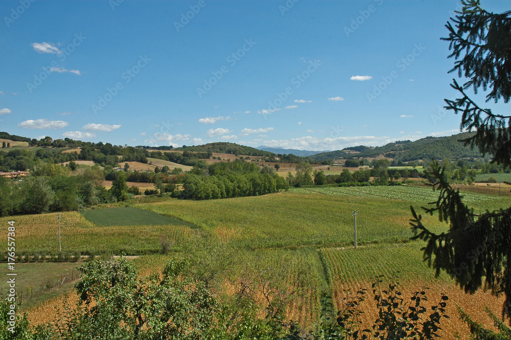 Uliveti e colline dell'Umbria a Monterchi