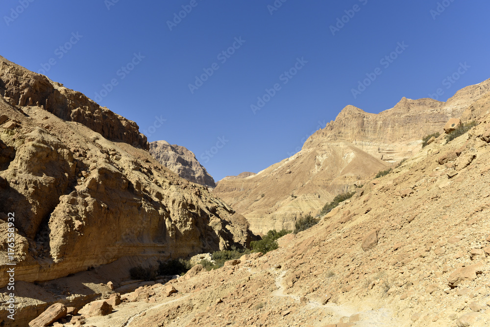 Judea desert landscape.