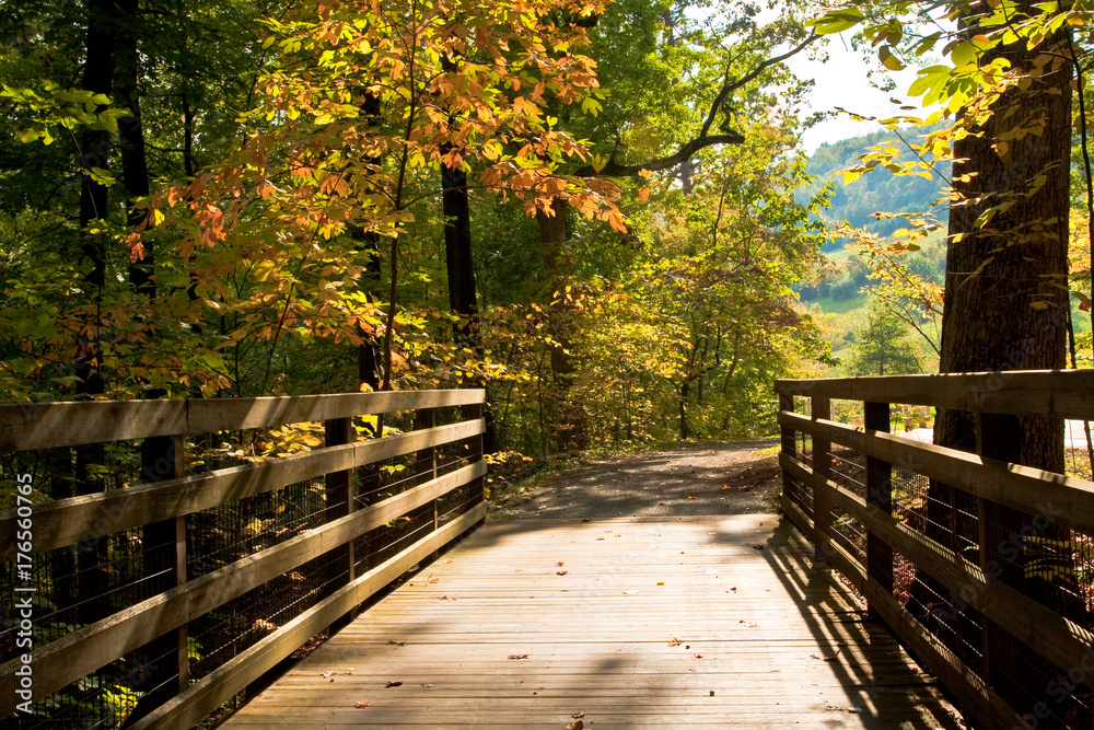 Path over wooden boardwalk in autumn