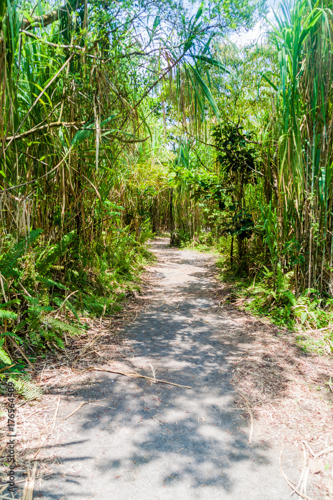 Hiking trail in National Park Arenal, Costa Rica Hiking trail in National Park Arenal, Costa Rica