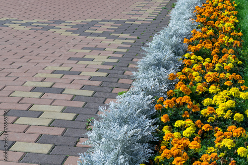 Paving pattern with rectangular shape and brown color. Along paved walkways planted flowerbed with beautiful orange and yellow flowers. In the background, lawn with green grass.