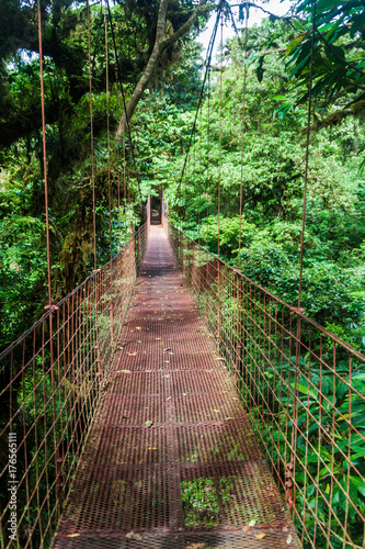 Fototapeta Naklejka Na Ścianę i Meble -  Suspension bridge in the cloud forest of Reserva Biologica Bosque Nuboso Monteverde, Costa Rica