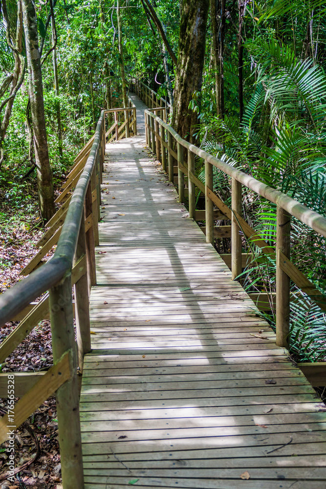 Boardwalk in National Park Manuel Antonio, Costa Rica Boardwalk in National Park Manuel Antonio, Costa Rica