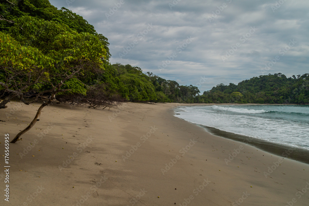 Obraz premium Beach in National Park Manuel Antonio, Costa Rica