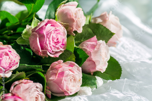 Bouquet of beautiful delicate pink roses