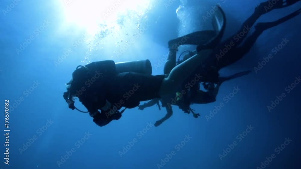 Scuba divers swimming underwater