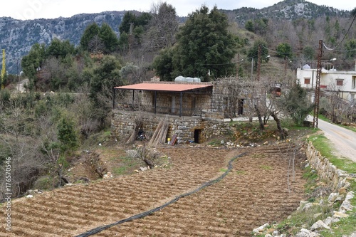 ancient house and terrace cultivation in lebanese countryside