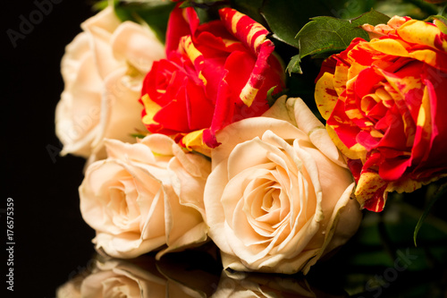 Colorful  beautiful  delicate roses with details and reflexions  