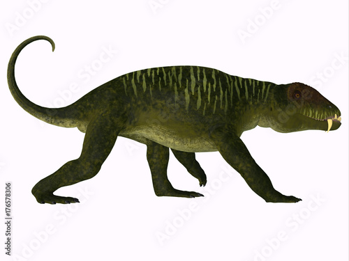 Doliosauriscus Dinosaur Side Profile - Doliosauriscus is an extinct genus of therapsid carnivorous dinosaur that lived in Russia in the Permian Period. © Catmando