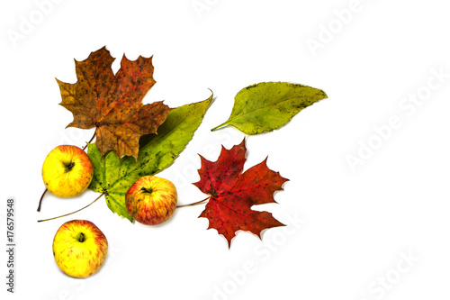 Stylish composition of colorful vegetables, fruits, autumn leaves and berries. Top view on white background. Autumn flat lay