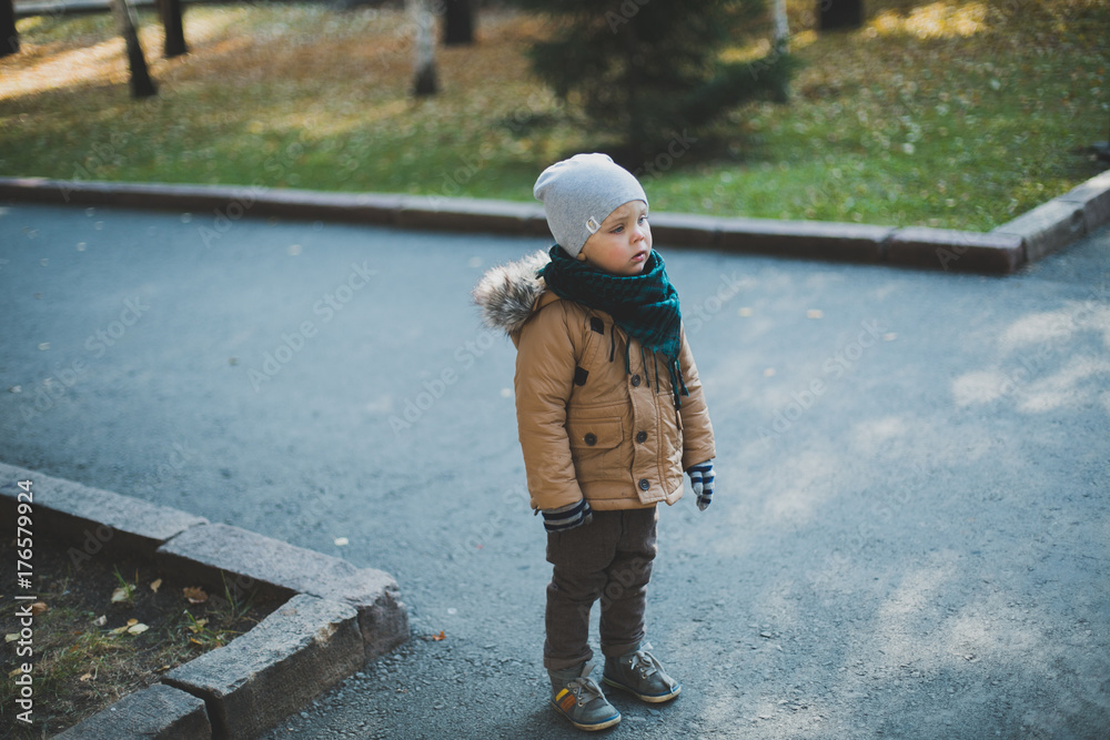 a little boy playing in autumn forest, collecting leaves a little boy playing in autumn forest, collecting leaves