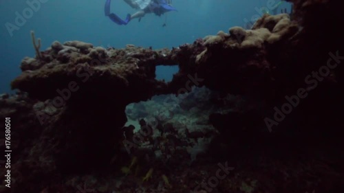 Underwater POV going through a coral reef, in the Florida Keys photo