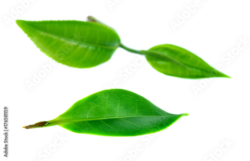 green tea leaf isolated on white background