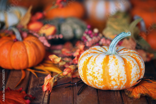Autumn pumpkin background