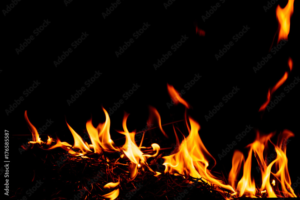 Nature Fire flames at dark night. Freeze motion of Red-Yellow fire flames burning.Burning camp fire with hot flames. Nature Fire flames at dark night. Freeze motion of Red-Yellow fire flames burning.Burning camp fire with hot flames.