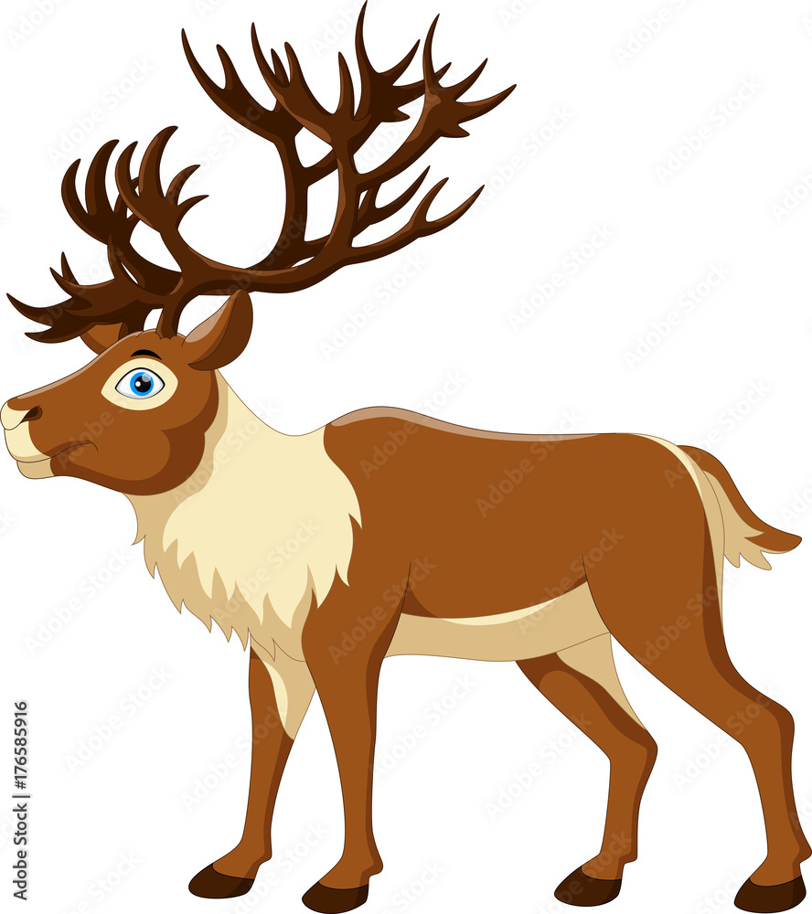 Obraz premium Vector illustration of cartoon reindeer isolated on white background