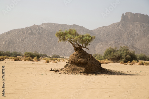 Sahara Tassili