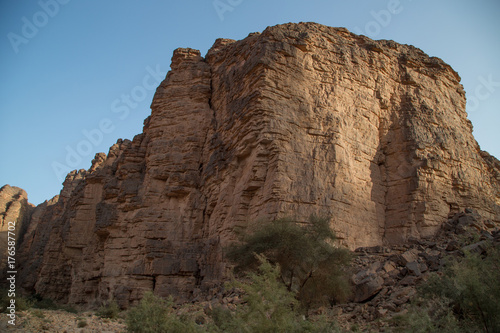 Sahara Tassili