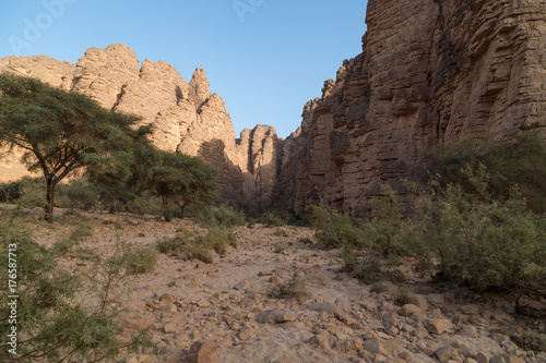 Sahara Tassili