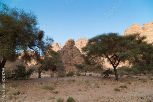 Sahara Tassili
