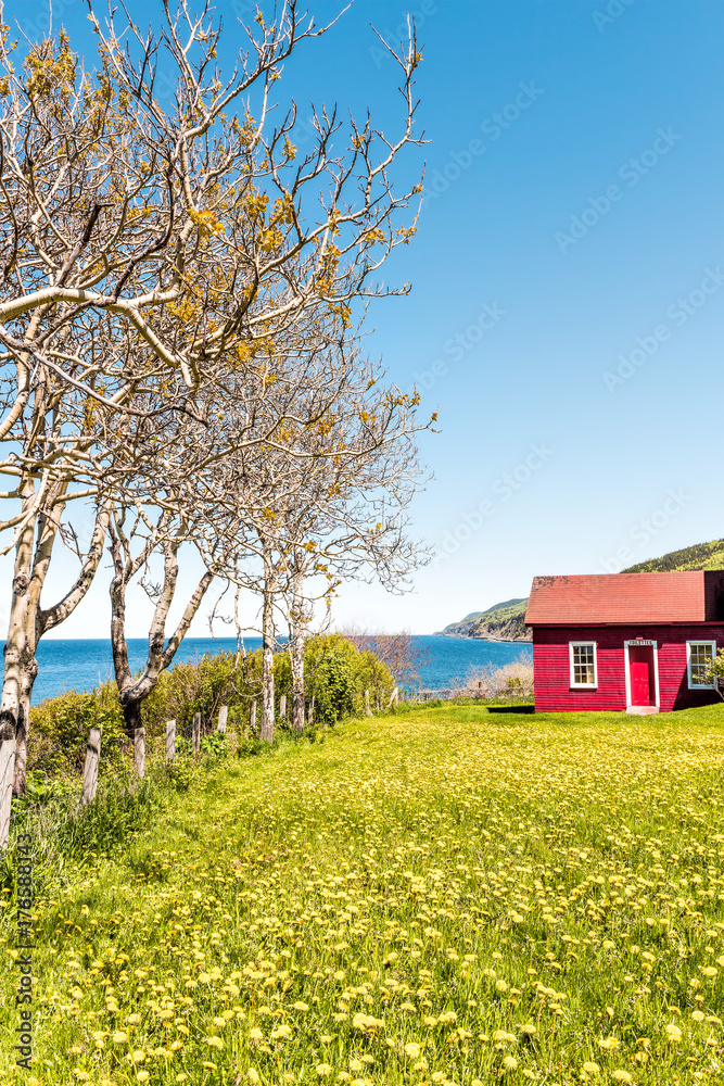Red painted shed with yellow dandelion flowers and view of Saint Lawrence river gulf in La Martre in the Gaspe Peninsula, Quebec, Canada, Gaspesie region Red painted shed with yellow dandelion flowers and view of Saint Lawrence river gulf in La Martre in the Gaspe Peninsula, Quebec, Canada, Gaspesie region