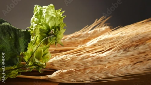 Hop Cones and Sheaf of Barley. Pan. photo