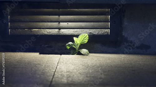 Photos Life in the City