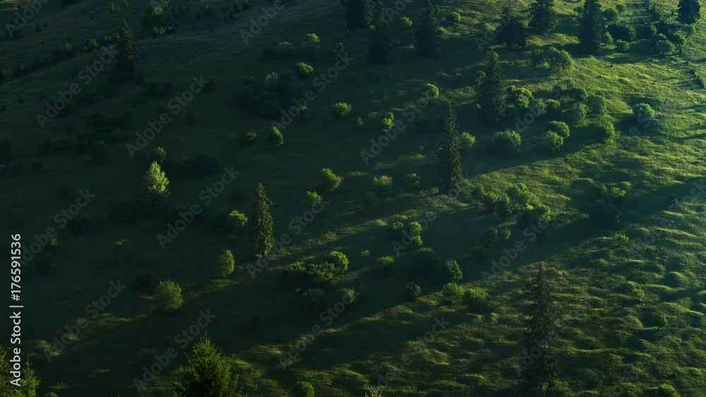 Timelapse of sunrise and day passing on a hillside - with shadows moving and sheep grazing Timelapse of sunrise and day passing on a hillside - with shadows moving and sheep grazing