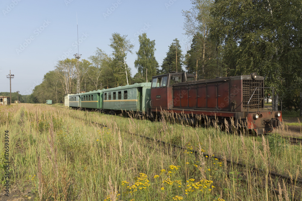 Naklejka premium Pociąg pasażerski na UZD
