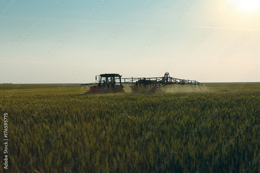 Naklejka premium wheat processing