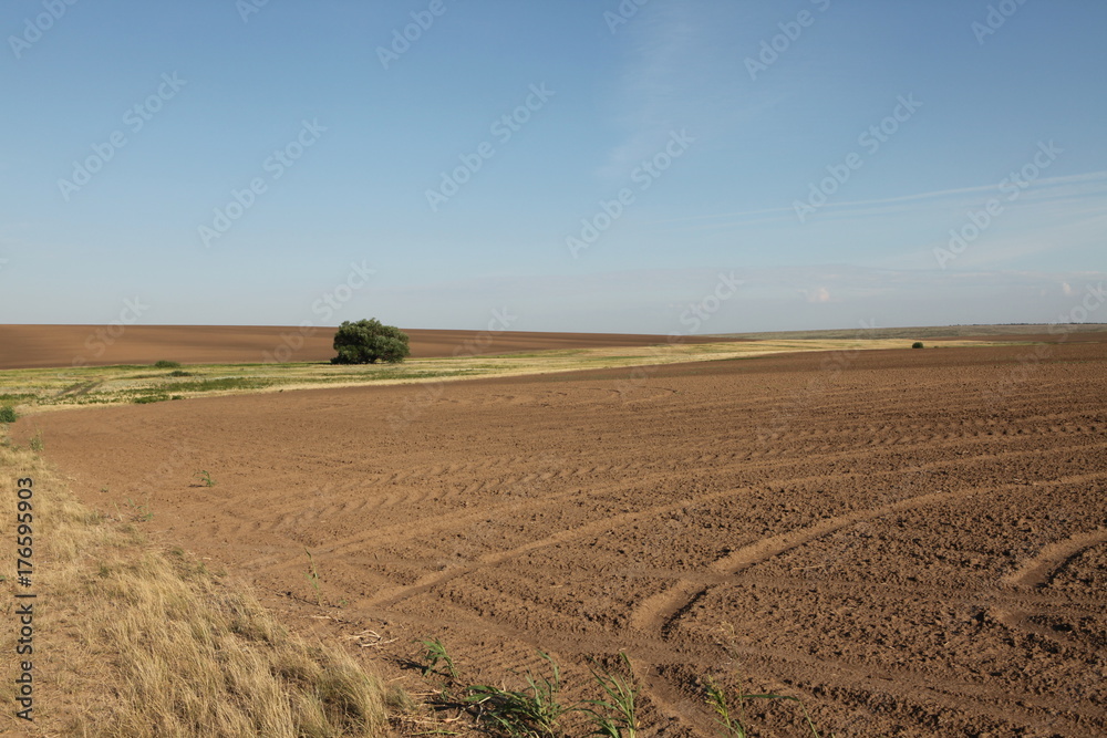 Resting field Resting field