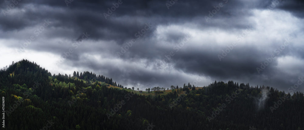 Fototapeta premium Forest athe top of the Karpaty mountains with small house panorama