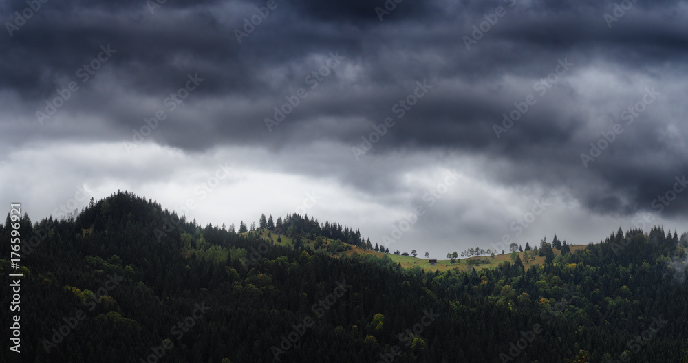 Forest athe top of the Karpaty mountains with house panorama