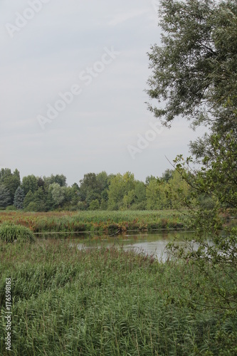 molsbroek photo