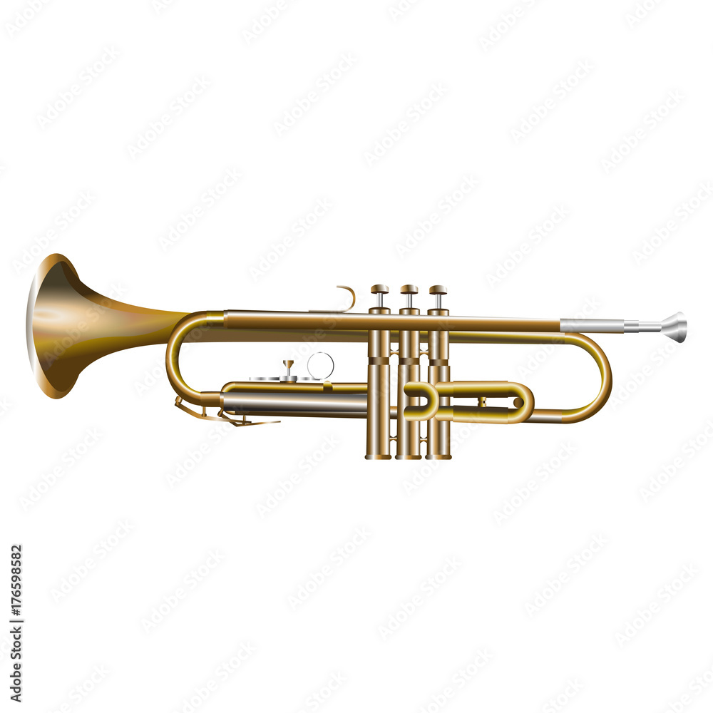 Obraz premium Trumpet