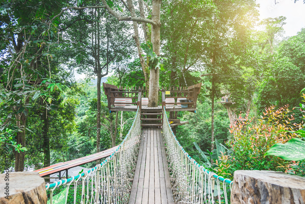 Fototapeta most linowy z liną do chodzenia i wędrówek w przyrodzie na wyprawę przygodową w lesie. Wkrocz do dżungli