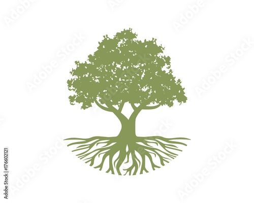 oak growth capital 