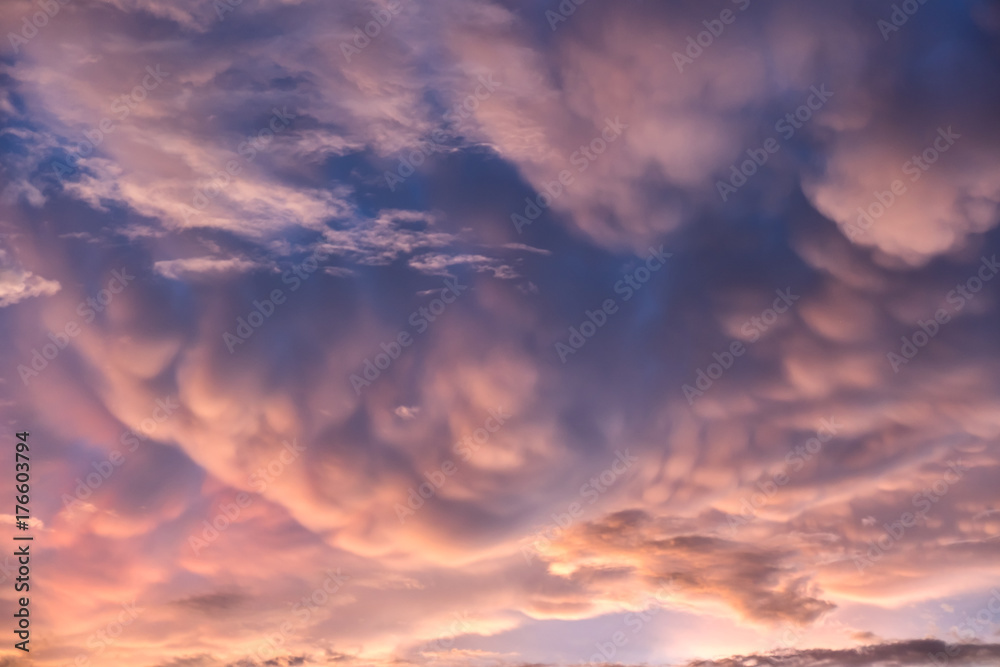 Mammatus cloud in sunset sky. A pattern of pouches thunderstiorm cumulonimbus rainclouds.