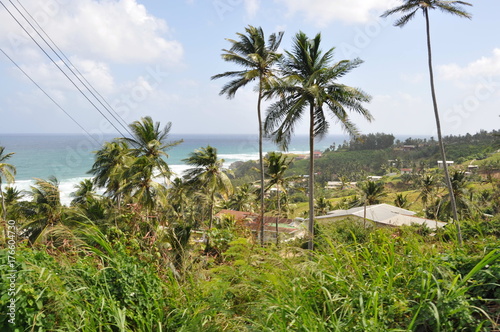 Wallpaper Mural Landscape in Barbados Torontodigital.ca