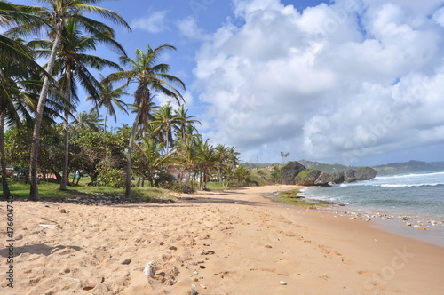 Coastline in Barbados