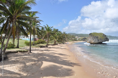 Coastline in Barbados