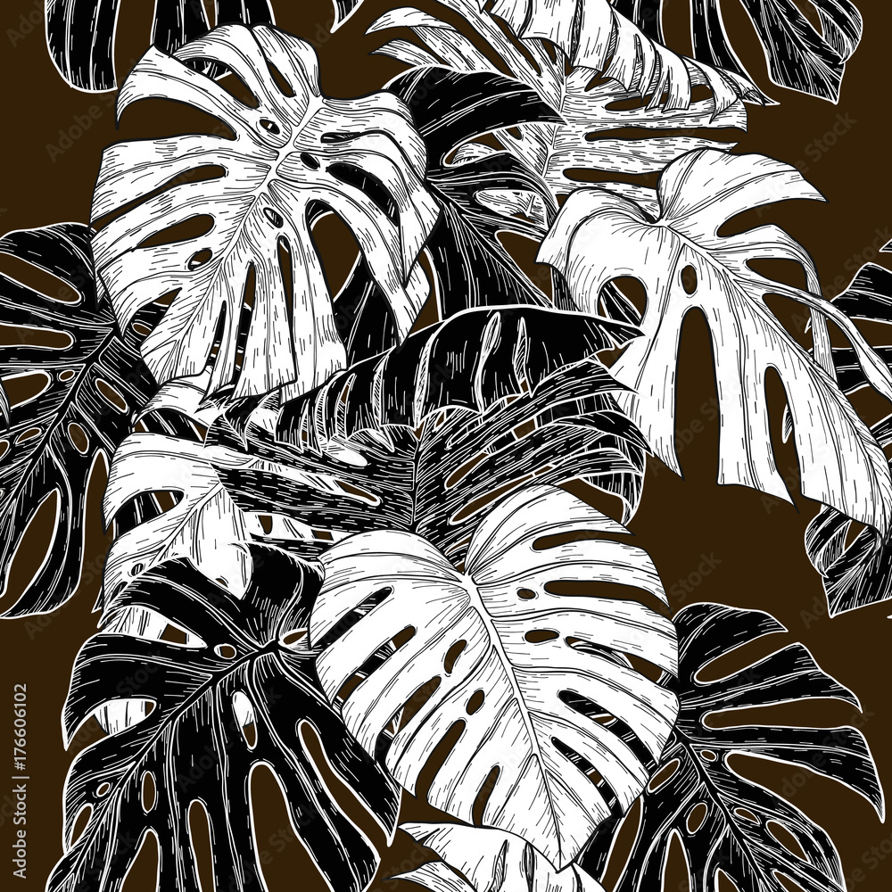 philodendron painted The Snobby Leaf | Philodendron 'Painted Lady' - 4 inch Pot main image 0