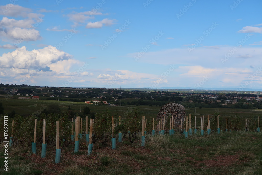 Beaujolais wine-growing region