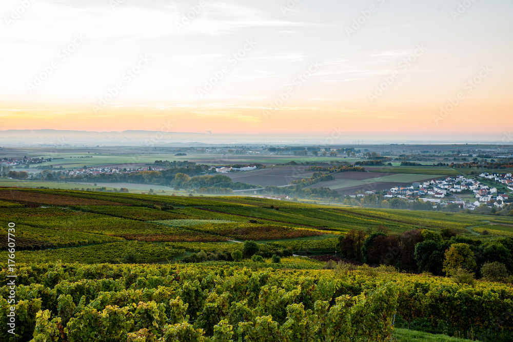 green leaves and fall colors, rhine plain green leaves and fall colors, rhine plain