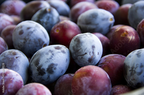 there are many blue and violet macro plums