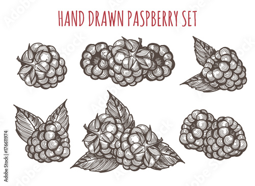 Hand drawn raspberry vector illustration. Farm berry eco food for health in retro sketch style isolated on white background