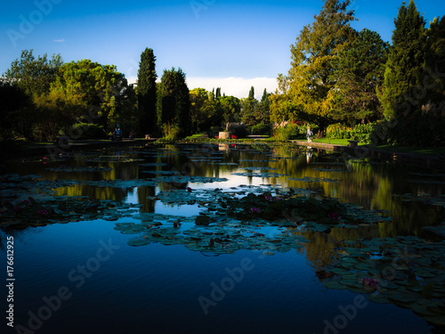 Large pond with water lilies in an italian public park.
