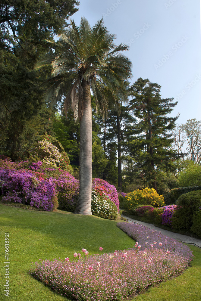 Lombardy, Lake Como,Tremezzo; Villa Carlotta,built end of 17th century, botanical gardens and museum.