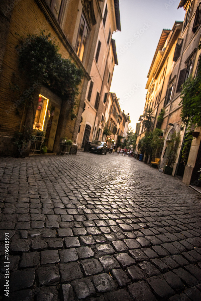 Obraz premium Cobble Road